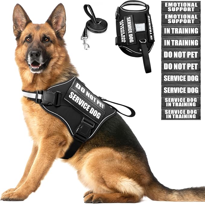 Service Dog Harness and Leash Set, Training Dog Vest with 10 Dog Patches, Emotional Support Therapy Dog Vest Harness for Small Medium Large and Extra Large Dogs(Black, XL)