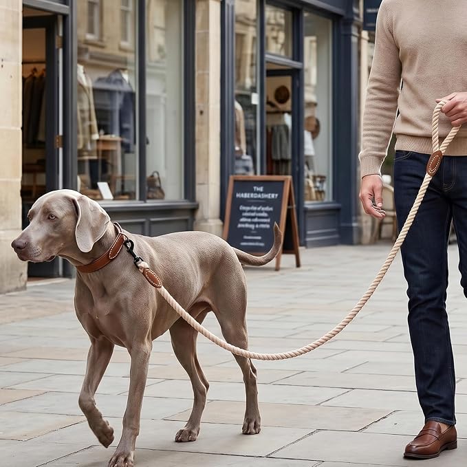 Mile High Life Dog Leash Braided Cotton Rope with Leather-Reinforced Ends | Rust-proof 360° swivel clasp, Heavy-duty for medium/large dogs. Great for weddings, daily walks (6 FT, 1/2", Light Brown)