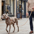 Mile High Life Dog Leash Braided Cotton Rope with Leather-Reinforced Ends | Rust-proof 360° swivel clasp, Heavy-duty for medium/large dogs. Great for weddings, daily walks (4 FT, 1/2", Light Brown)