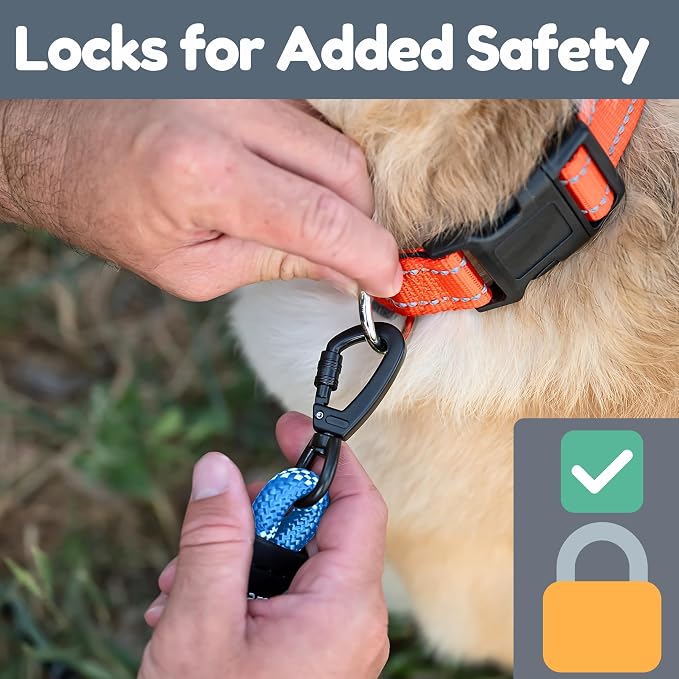 6 Foot Dog Leash, Two Extra Padded Handles, Locking Carabiner Clip, Reflective for Night Visibility, Weatherproof, Heavy Duty Rope Leash, Roam Gear (Blue)