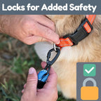 6 Foot Dog Leash, Two Extra Padded Handles, Locking Carabiner Clip, Reflective for Night Visibility, Weatherproof, Heavy Duty Rope Leash, Roam Gear (Blue)