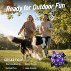 QDAN Soccer Ball for Dogs with Straps, Large Dog Balls, 8 Inch Puppy Toys | Outdoor Herding Balls for 30-90 lbs Dogs, Interactive Soccer Toy for Interactive, Dog Ball Toy to Keep Them Busy, Purple