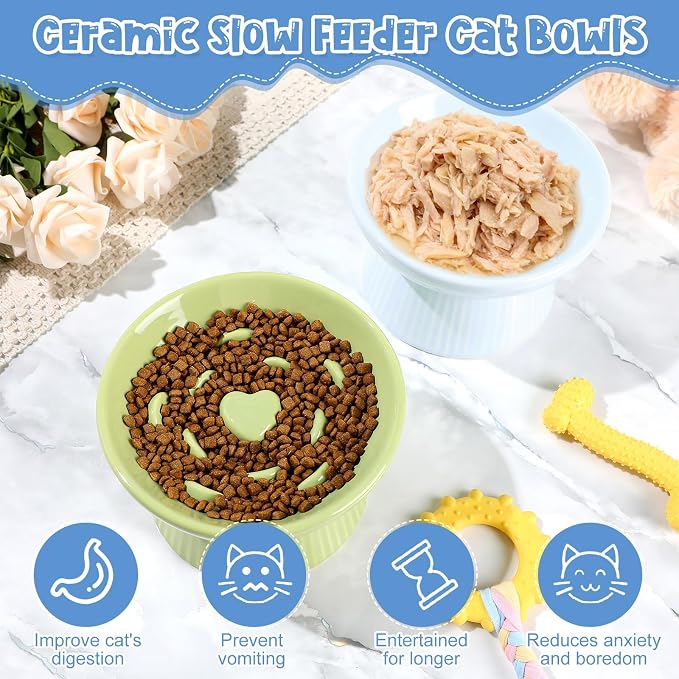 Tioncy 2 Pcs Ceramic Elevated Slow Feeder Cat Bowl, Raised Cat Slow Feeder Bowl, Anti Vomiting for Dry and Wet Food, No Spill High Edge Easy Clean Dishwasher Safe (Green,Blue)