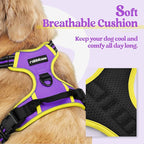 rabbitgoo Dog Harness, No Pull Medium Sized with 2 Leash Clips, Pet Vest | No Choke with Handle, Adjustable Soft Padded, Reflective, Easy Control for Walking, Purple & Yellow, Medium