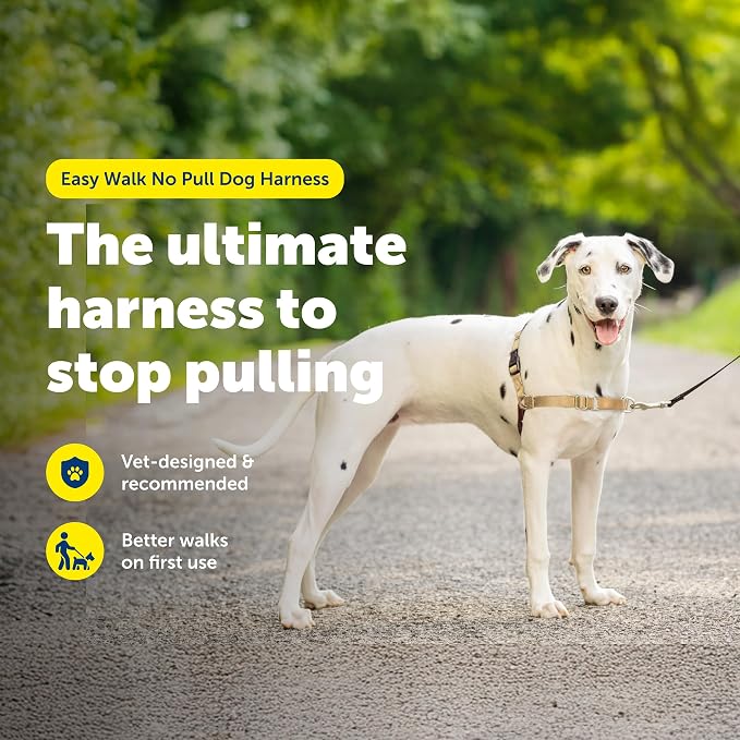 PetSafe Easy Walk No-Pull Dog Harness - Ultimate Harness to Help Stop Pulling - Pull-Free Walks - Take Control & Teach Better Leash Manners - Patented Martingale Loop Design - Fawn, Medium