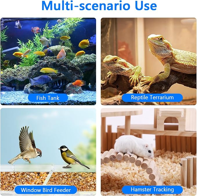 3MP 2K Aquarium & Terrarium Pet Camera with Light for Fish or Reptile Pet | Wide-angle Fisheye Close-focus Lens, With Lighting Function