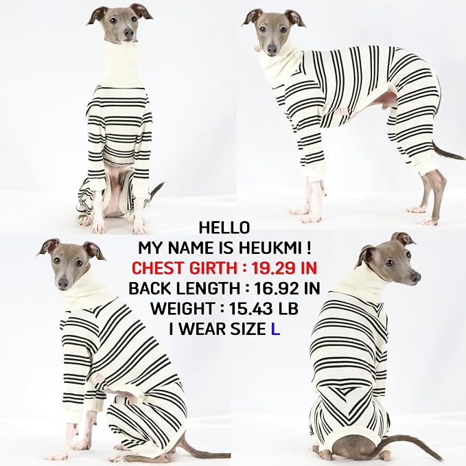 D Doggy Star Italian Greyhound Clothes Soft Stretchy Onesie Refined Stripe Outfit Whippet for Dog Coat (XL,Onsi Black Str)