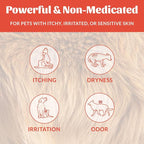 SKOUT'S HONOR Probiotic Itch Relief Shampoo for Dogs, 16 oz | Non-Medicated Microbiome-Friendly Formula with Avocado Oil and Omega-3s, Paraben & Sulfate-Free, Unscented