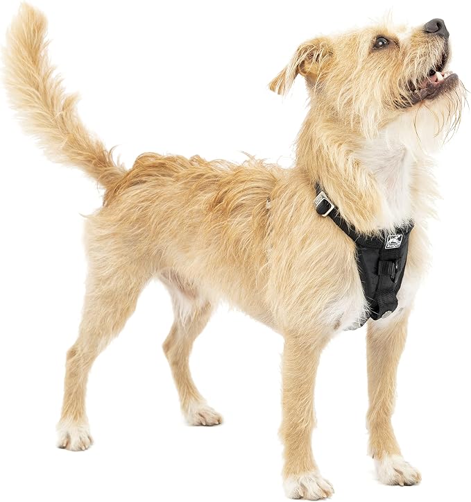 Kurgo Enhanced Strength Tru-Fit Smart Harness, Black, Extra Small
