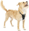 Kurgo Enhanced Strength Tru-Fit Smart Harness, Black, Extra Small