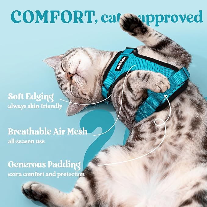 rabbitgoo Cat Harness and Leash Set, Escape Proof Vest, Teal | Soft Breathable Mesh, Easy Adjustable Fit, Snap Buckles, Sturdy Clip, Reflective Strips, for Kittens & Small Cats Walks, Xxs