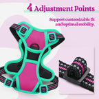 rabbitgoo Dog Harness, No Pull for Small Dogs with 2 Leash Clips, Pet Vest | No Choke with Handle, Adjustable Soft Padded, Reflective, Easy Control for Walking, Hot Pink & Turquoise, X-Small