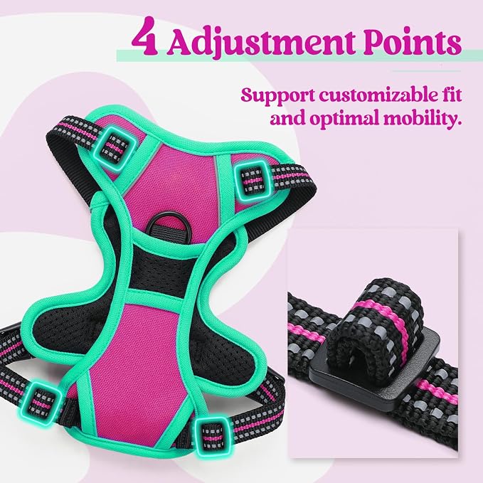 rabbitgoo Dog Harness, No Pull for Small Dogs with 2 Leash Clips, Pet Vest | No Choke with Handle, Adjustable Soft Padded, Reflective, Easy Control for Walking, Hot Pink & Turquoise, X-Small