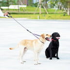 iYoShop Dual Dog Leash - 360° Swivel, No Tangle Walking Leash with Shock Absorbing Bungee for Two Dogs (Medium, 8-35 lbs, Lavender)