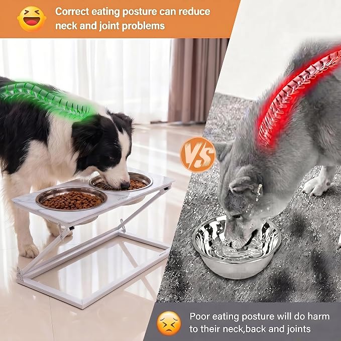 Elevated Dog Bowl, Adjustable Height and Tilt Angle Dog Bowl Stand | Precisely Adjust Height And Tilt Angle, Easy To Clean, Equipped With 2 Stainless Steel Food Bowls, Sturdy And Durable.