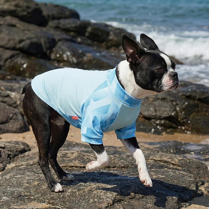 KYEESE 2Pack UV Protection Dog Shirt, UPF 50+ Cooling Dog T Shirts for Small Medium Dogs Boy, Breathable Reflective Dogs Sun Shirts with Sleeves Summer Pet Clothes, Blue, XL