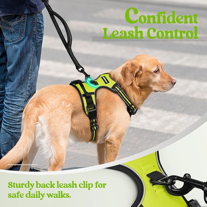 rabbitgoo Dog Harness, No Pull for Small Dogs with 2 Leash Clips, Pet Vest | No Choke with Handle, Adjustable Soft Padded, Reflective, Easy Control for Walking, Wild Lime, Small