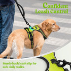 rabbitgoo Dog Harness, No Pull for Small Dogs with 2 Leash Clips, Pet Vest | No Choke with Handle, Adjustable Soft Padded, Reflective, Easy Control for Walking, Wild Lime, Small