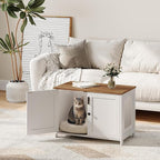 HOOBRO Litter Box Enclosure, Cat Litter Box Furniture with Removable Divider, Hidden Litter Box Furniture, Wooden Cat House, End Side Table, 31" L x 17.5" W x 19.7" H, White and Walnut WH03MW01G2