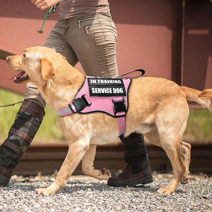 Service Dog Vest Harness and Leash Set+10 Patches,Easy Walk Pink S | No Pull&Adjustable Reflective Dog Harness Small Sized,Dog Leash with 2 Soft Padded Handles,for Training Hiking Walking