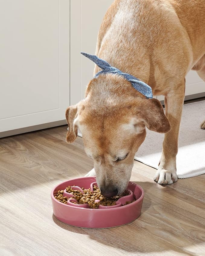 LE TAUCI Slow Feeder Dog Bowls Ceramic,3 Cups Slow Feeding Dog Bowl Medium Large Breed, Pet Bowl for Fast Eaters, Puzzle Pet Dishes, Pink Bloom