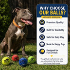 INSUM Squeaky Tennis Balls for Dogs, 12 Pack 2.5'' Medium Dog Toys Balls | Durable Non-Toxic Outdoor Dog Toys Balls with Mesh Bag, SGS Certified, Colorful Fetch Toys, Medium Large Breeds Squeaky