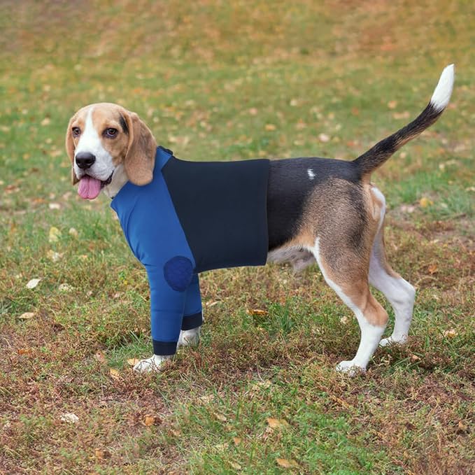Lelepet Dog Recovery Suit for Front Legs, Dog Sleeve to Stop Licking Blue | Elbow Protector for Leg Injuries Shoulder Wounds After Surgery Male Female,Zippered Long-Sleeved Shirt Cone Alternative S-3XL