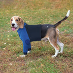 Lelepet Dog Recovery Suit for Front Legs, Dog Sleeve to Stop Licking Blue | Elbow Protector for Leg Injuries Shoulder Wounds After Surgery Male Female,Zippered Long-Sleeved Shirt Cone Alternative S-3XL