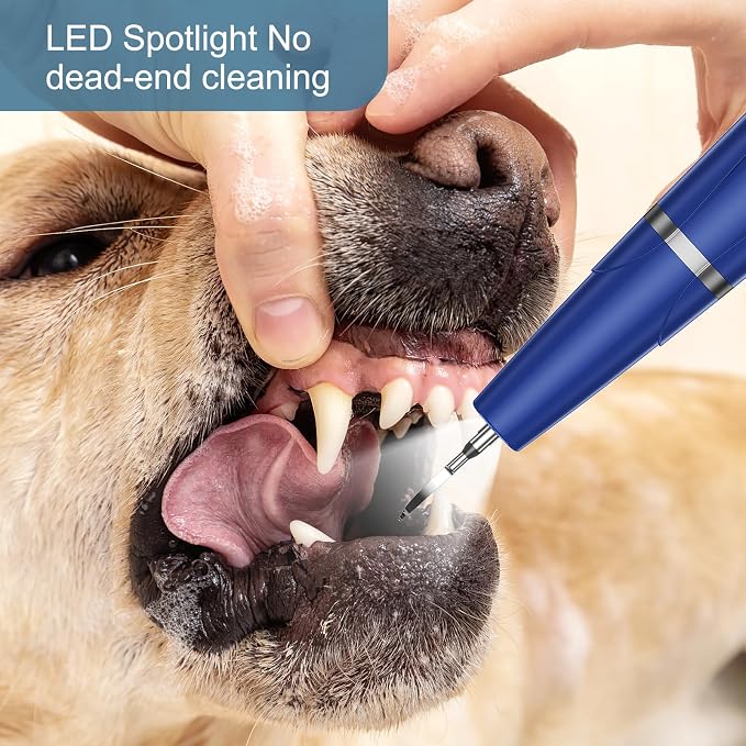 Upgraded Plaque Remover for Teeth, Electric Pet Teeth Cleaning Kit, USB Charging Dog Tooth Brushing Kit, 5 Modes, IPX6 Waterproof Pet Ultrasonic Toothbrush Cleaner for Dogs Cats (Blue)