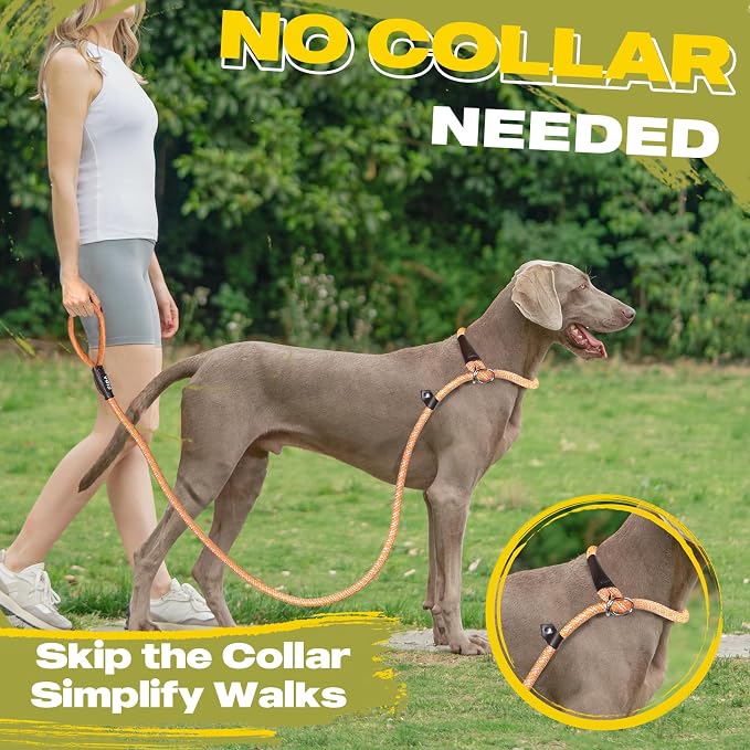 Fida Durable Slip Loop Lead for Large, Medium Dogs, 6 FT x 1/2" Heavy Duty, Comfortable Strong Rope, No Pull Pet Training Leash with Highly Reflective, Orange