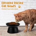 Tioncy 2 Pcs Ceramic Elevated Slow Feeder Cat Bowl, Raised Cat Slow Feeder Bowl, Anti Vomiting for Dry and Wet Food, No Spill High Edge Easy Clean Dishwasher Safe (Dark Green,Black)