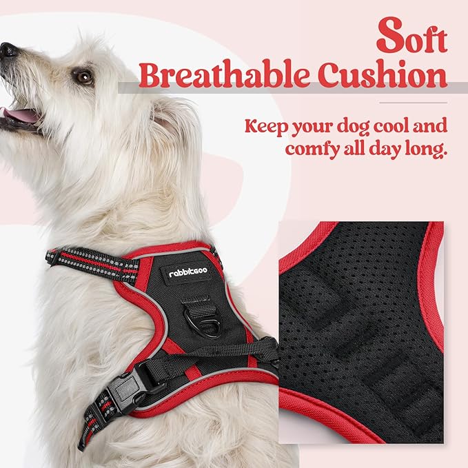 rabbitgoo Dog Harness, No Pull for Small Dogs with 2 Leash Clips, Pet Vest | No Choke with Handle, Adjustable Soft Padded, Reflective, Easy Control for Walking, Black & Red, X-Small
