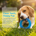 Beiker 20 Pack Puppy Chew Toys - Blue Dog Teething Toys for Puppies, Puppy Teething Rings and Ropes, Rubber Toy Bundle for Small Dogs, Cute Interactive Dog Balls for Small Breed