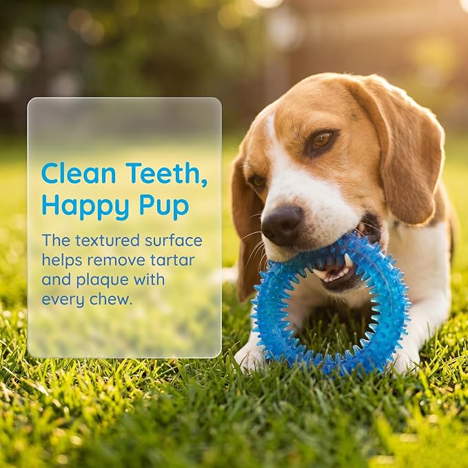 Beiker 20 Pack Puppy Chew Toys - Blue Dog Teething Toys for Puppies, Puppy Teething Rings and Ropes, Rubber Toy Bundle for Small Dogs, Cute Interactive Dog Balls for Small Breed