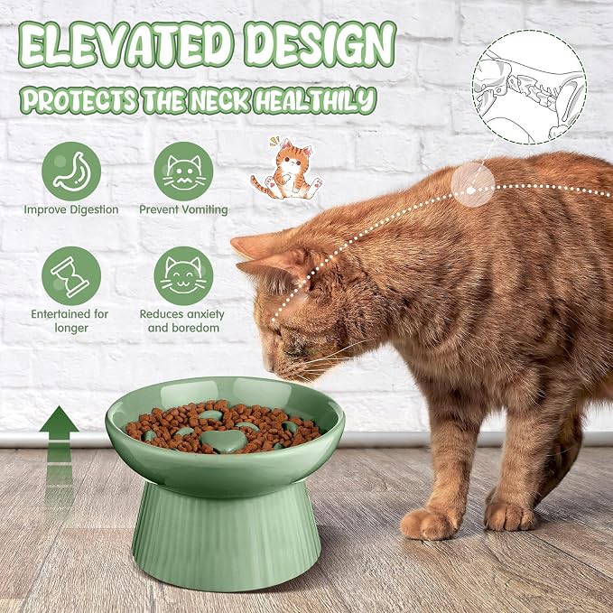 Tioncy 2 Pcs Ceramic Elevated Slow Feeder Cat Bowl, Raised Cat Slow Feeder Bowl, Anti Vomiting for Dry and Wet Food, No Spill High Edge Easy Clean Dishwasher Safe (Sage Green)
