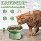 Tioncy 2 Pcs Ceramic Elevated Slow Feeder Cat Bowl, Raised Cat Slow Feeder Bowl, Anti Vomiting for Dry and Wet Food, No Spill High Edge Easy Clean Dishwasher Safe (Sage Green)