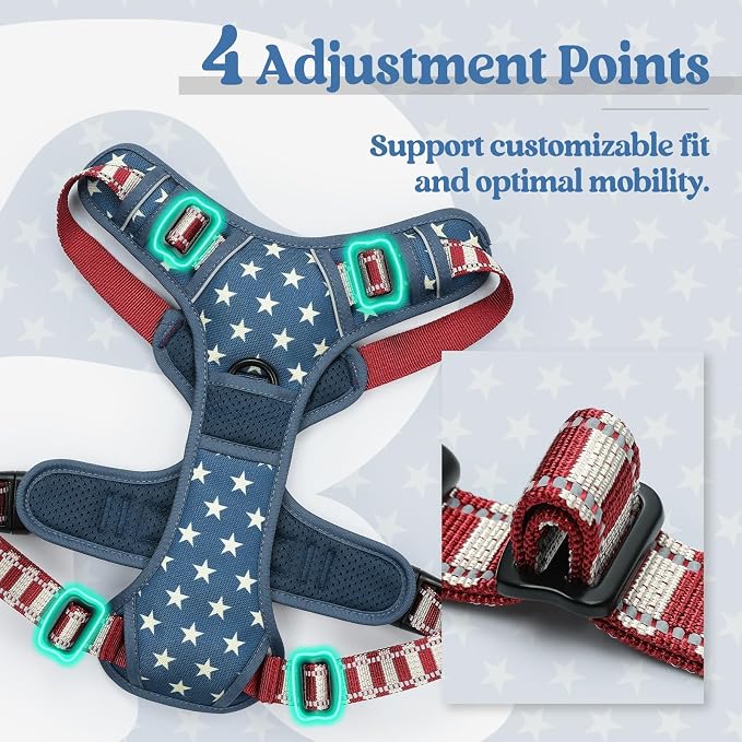 rabbitgoo Dog Harness, No Pull for Small Dogs with 2 Leash Clips, Pet Vest | No Choke with Handle, Adjustable Soft Padded, Reflective, Easy Control for Walking, Blue Star, Small