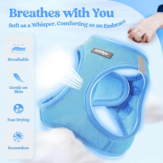 rabbitgoo Dog Harness Medium Sized and Leash Set, Step-in Puppy Pet Vest | Light, Soft, Breathable Air Mesh, Easy on and Remove with Hook & Loop, Secure Reflective for Walking, Blue XL