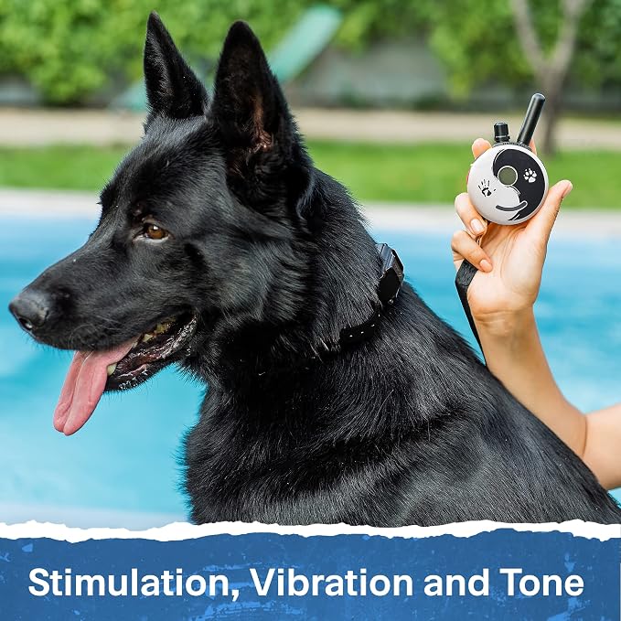 Educator ET-302 Zen Mini E Collar for Dog Training with Remote - 1/2 Mile Range, Waterproof, 100 Blunt Stimulation Levels, Tone or Vibration Mode, Night Light for Small, Medium & Large Dogs (2 Dogs)