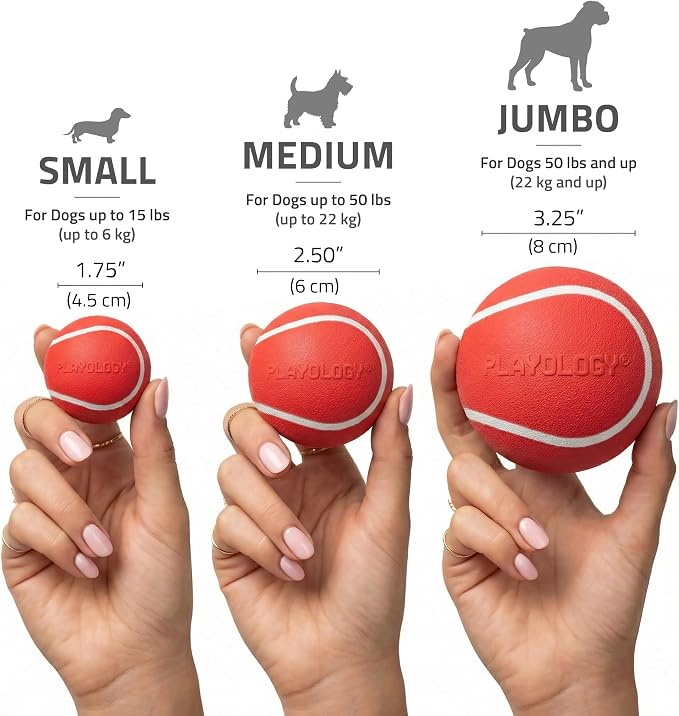 Playology Dog Toys | Squeaky Chew Ball for Large Dogs | Beef Scented Jumbo Dog Ball | Bouncy Floating Chew Toys for Fetch