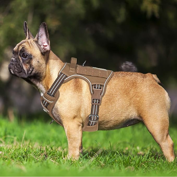 Beebiepet Heavy Duty Tactical Dog Harness for Small Dogs, No Pull Adjustable Pet Harness Reflective Service Training Easy Control Pet Vest Military K9 Working Dog Harnesses- Small, Brown