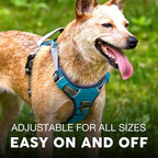 Embark Adventure Dog Harness for Small, Medium & Large Dogs – No Pull, Reflective Trim, Military Grade Nylon, 2 Leash Clips, Gel-Lined Handle, Soft Padded, Blue
