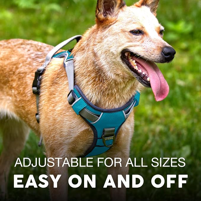 Embark Adventure Dog Harness for Small, Medium & Large Dogs – No Pull, Reflective Trim, Military Grade Nylon, 2 Leash Clips, Gel-Lined Handle, Soft Padded, Blue