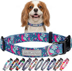 Lucky Love Dog - Adjustable Dog Collar with Easy Click Buckle for Small Dogs, Durable, & Comfortable for Male & Female Dogs, Pet Collar for Puppies & Adult Ones - Carriebelle, Small