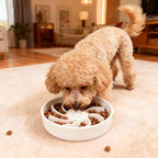 Ceramic Slow Feeder Dog Bowl, 3 Cup Dog Food or 25oz Water, Slow Eating Bowl for Middle Breed, Maze Puzzle Feeder for Fast Eaters, Anti-Choking Stop Bloat, Non-Slip BPA Free (White)