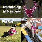 Service Dog Tactical Vest Harness and Leash Set Large Sized Dog Emotional Support- Tactical Dog Harness Training Collar with Name (Rose Red, XL)