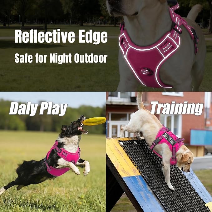 Service Dog Tactical Vest Harness and Leash Set Large Sized Dog Emotional Support- Tactical Dog Harness Training Collar with Name (Rose Red, M)