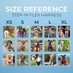 Voyager Step-in Flex Adjustable Dog Harness - Fuchsia, X-Large | 23 - 28" in Chest, Fully Adjustable, Reflective Bands, All Weather Breathable Air Mesh, Lightweight, Fast Drying