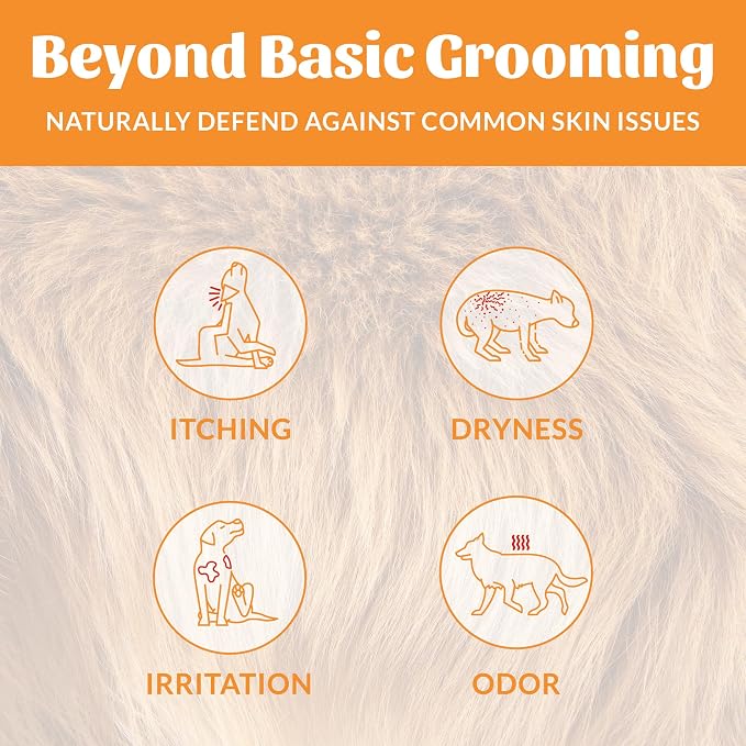 SKOUT'S HONOR Probiotic Dog Shampoo and Conditioner - HS, 16 oz, 2-Pack | Hydrating, Natural 2-in-1 for Itchy Skin, Microbiome-Friendly with Avocado Oil & Omega-3s, Paraben & Sulfate-Free