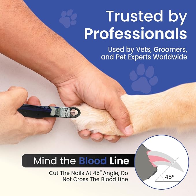Candy Series Dog Nail Clippers for Large Dogs – USA-Made Professional Guillotine Pet Nail Trimmer with Replaceable Blade System